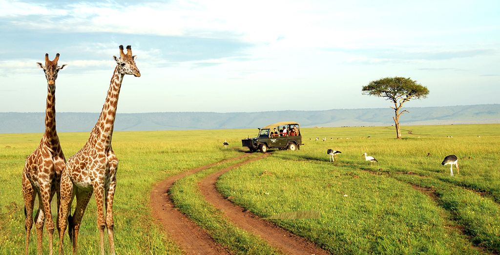 Le Kenya avec Voyage Prive