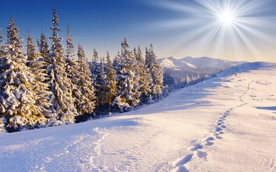 Résidence Les Chalets & balcons de la Vanoise