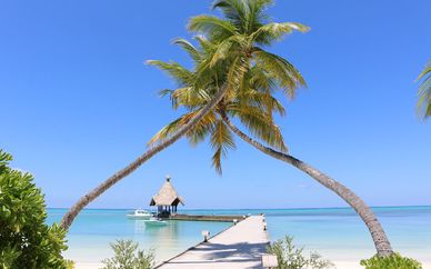 Canareef Resort Maldives 4*