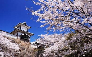 Séjour authentique au Japon en  11 nuits