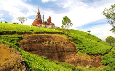 Circuit privatif découverte du Sri Lanka en 7 nuits ou en 10 nuits, 3*, 4* ou 5*