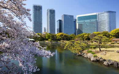 Circuit Découverte du Japon en 11 jours / 8 nuits