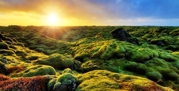 Circuit Tour d'Islande avec guide francophone 8 jours/7 nuits