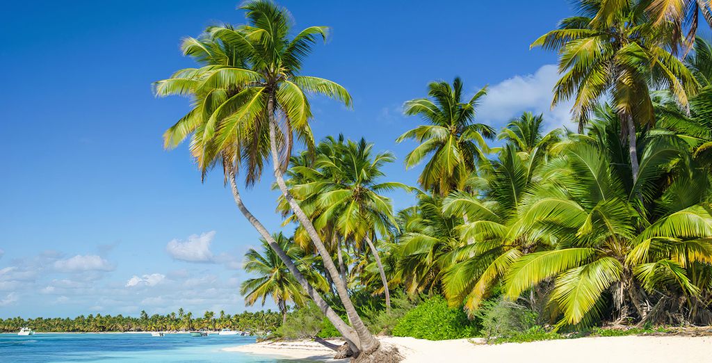 Domaine de la Palmeraie Martinique