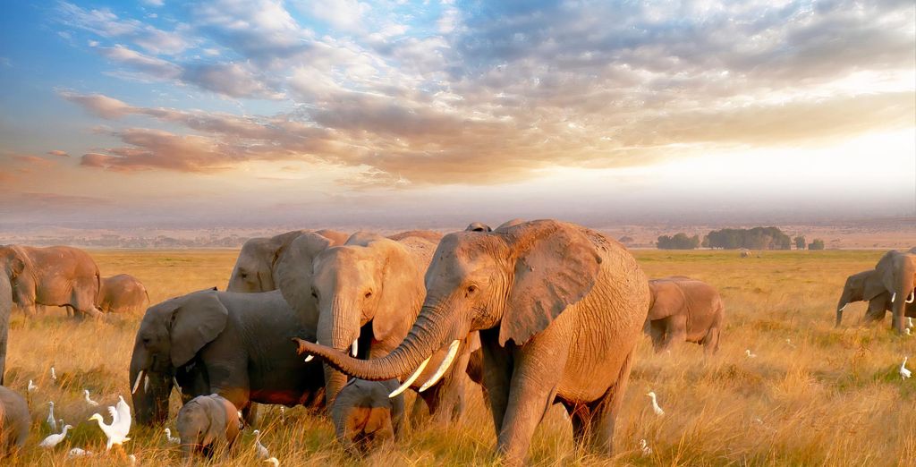 Kruger Maroela Lodge & Spa