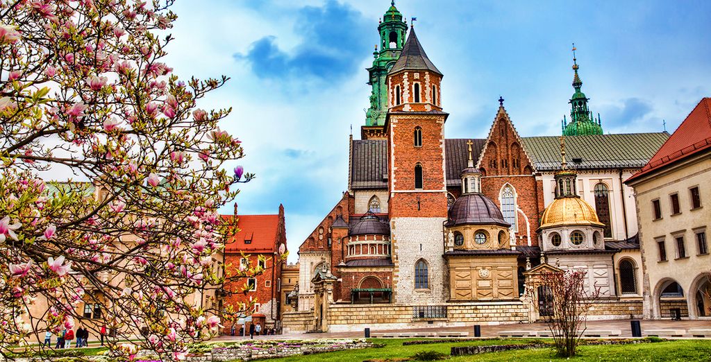 Daniel Griffin Aparthotel