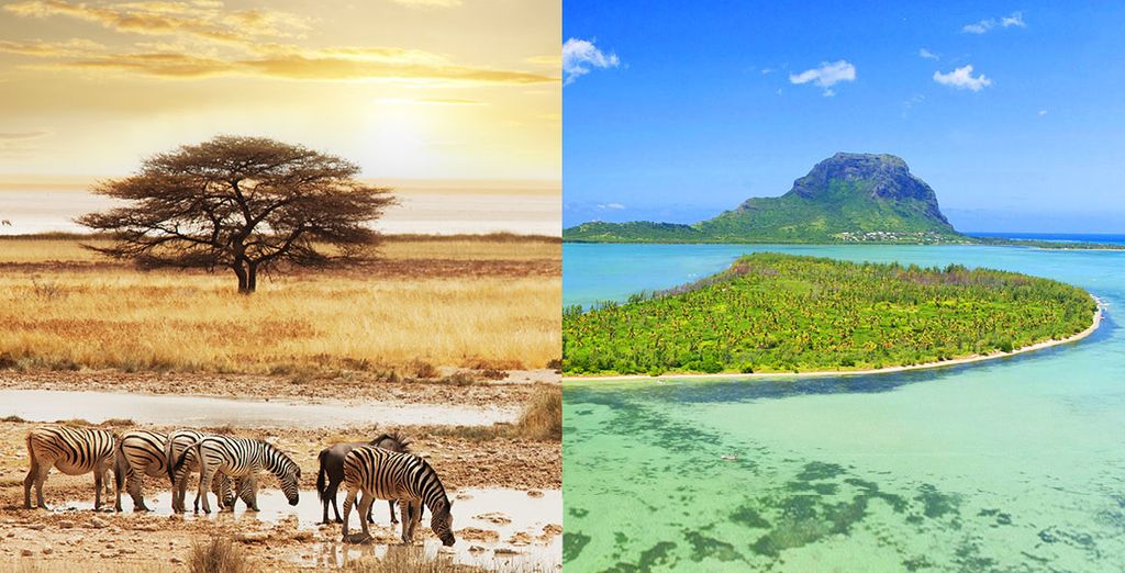 Rondreis Zuid-Afrika Big 5 en Mauritius