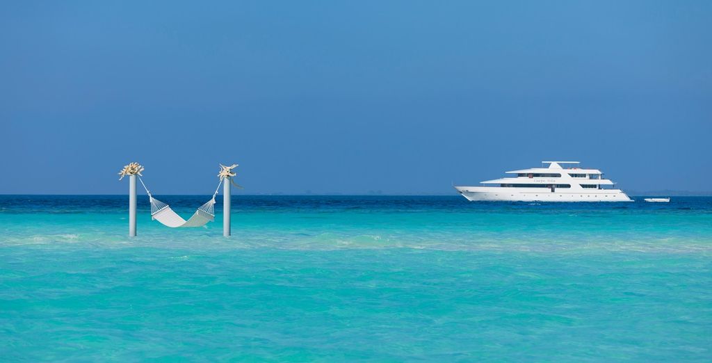 Cruise Carpe Diem