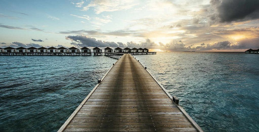 Hotel Canareef Resort Maldives 4*