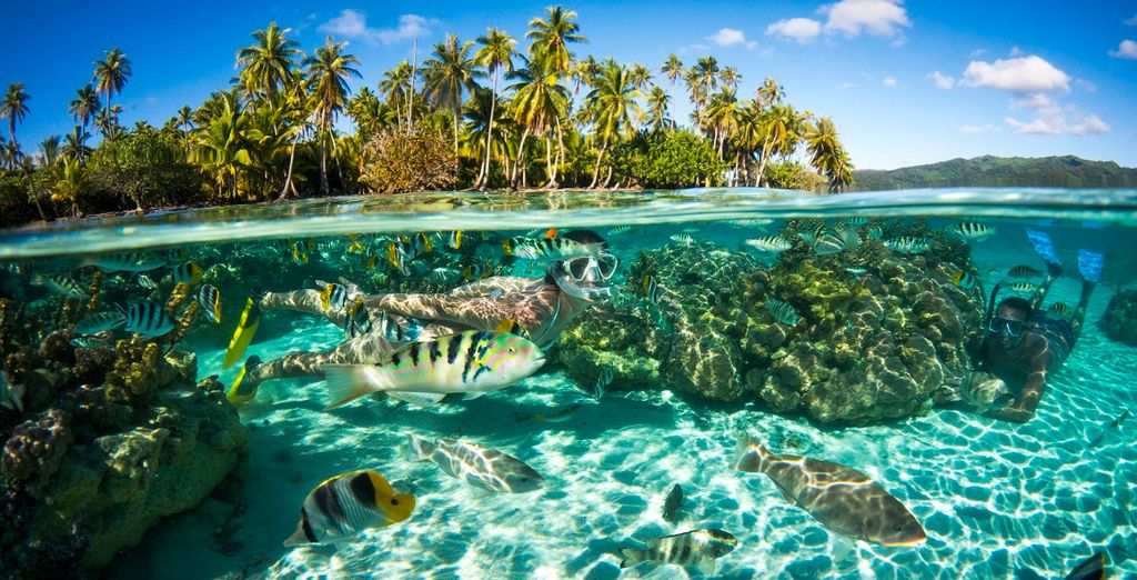 Urlaub Bora Bora