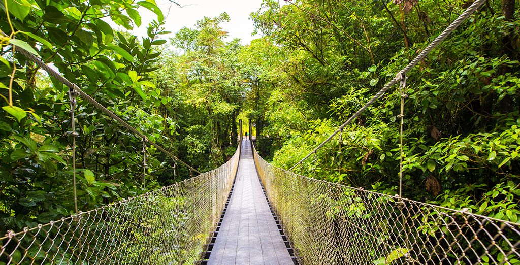 Klassische Costa Rica Reise