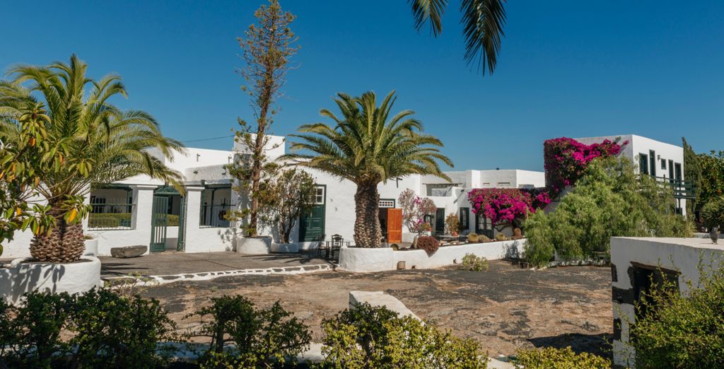 Hotel EL GRIFO & Blue Marina Suites