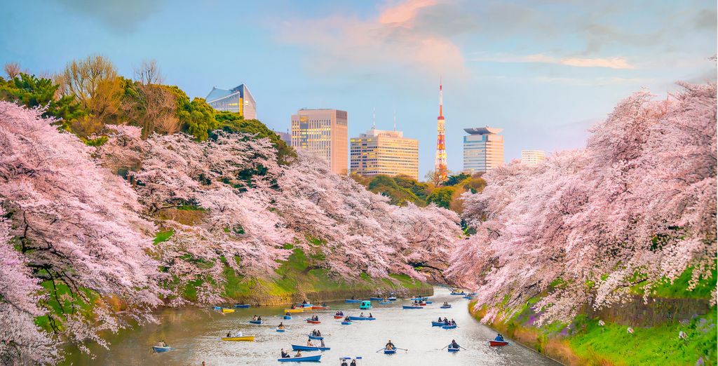 Private Rundreise: Das Beste von Japan und Südkorea