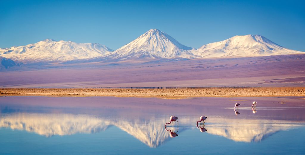 Private Tour von Santiago nach Atacama