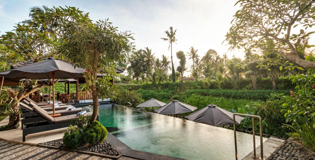 Die sch&ouml;nsten Seiten einer tropischen Inselwelt - Bali