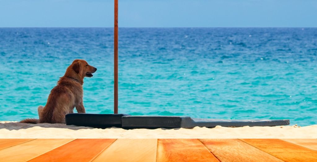 Urlaub mit Hund Voyage Privé