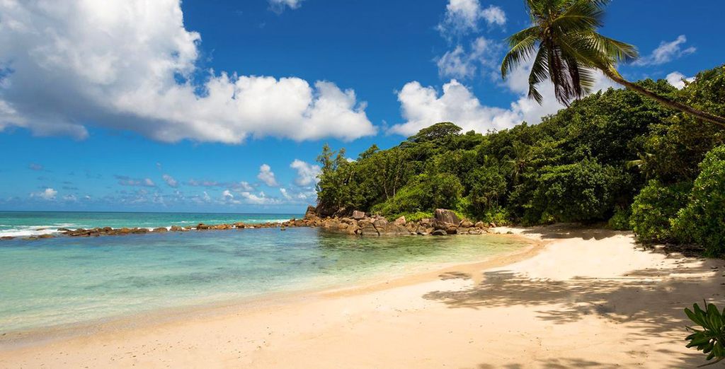 Buchen Sie Ihren Urlaub auf den Seychellen