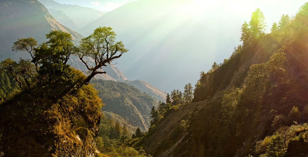 Die beeindruckende Vegetation Nepals