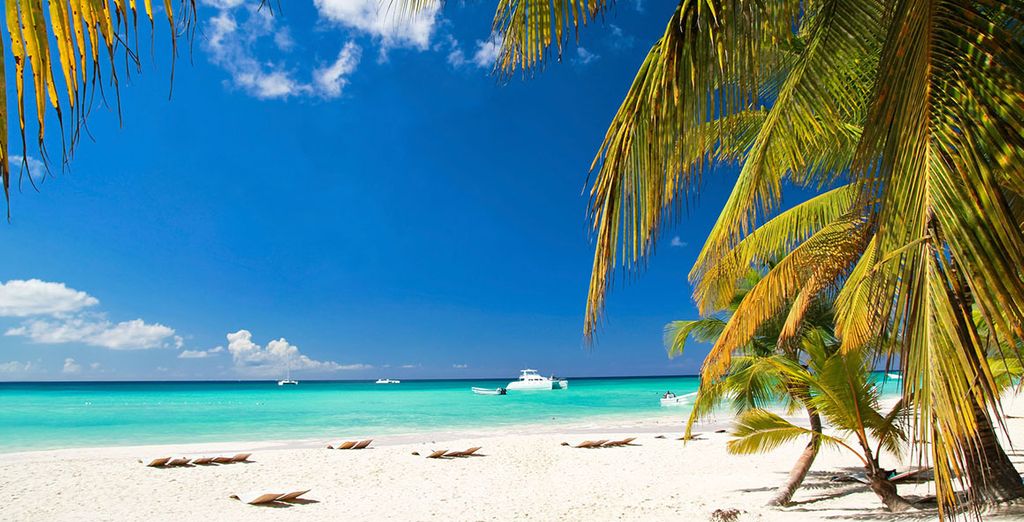 Verbringen Sie Ihren Urlaub auf der paradiesischen Insel der Dominikanische Republik