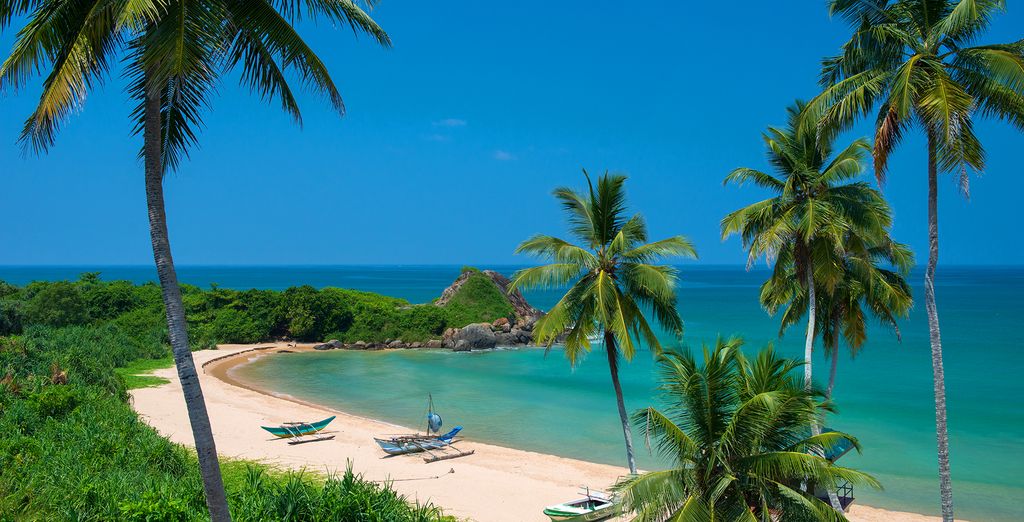 Rundreise Sri Lanka & Shinagawa Beach Hotel