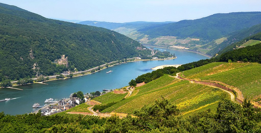 Rhein-Kreuzfahrt von Mainz nach Amsterdam