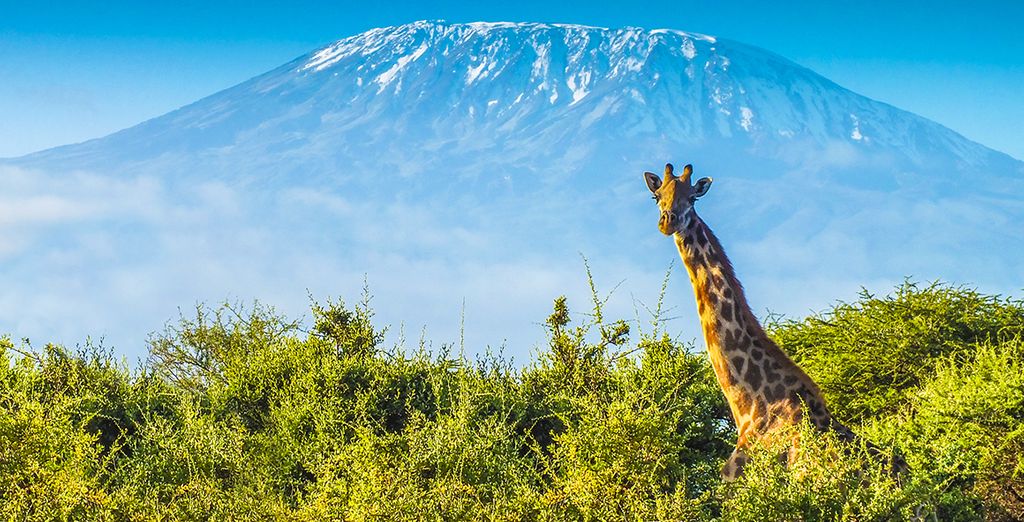 Safari Kifaru und Hotel Neptune Pwani Beach Sansibar