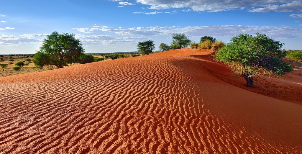 Autotour Namibia in 8 Nächten