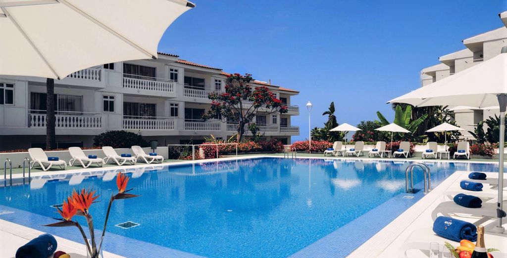 Avistamiento de cetáceos en aguas de Tenerife