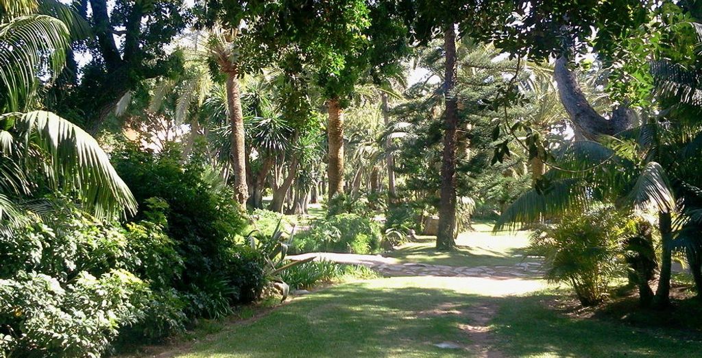 Don Carlos Leisure Resort & Spa 5*