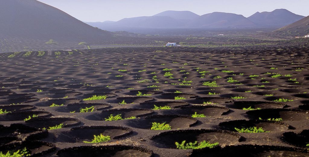 H10 Lanzarote Princess 4*