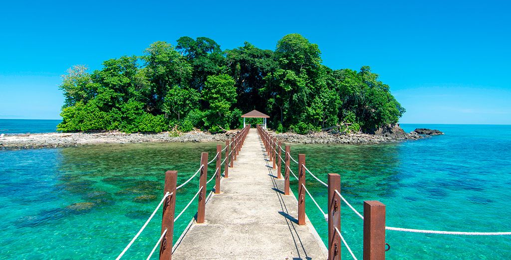 Navegando hacia Borneo