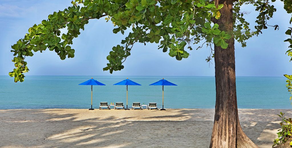 Esplendores del sureste asiático: entre cultura y playas