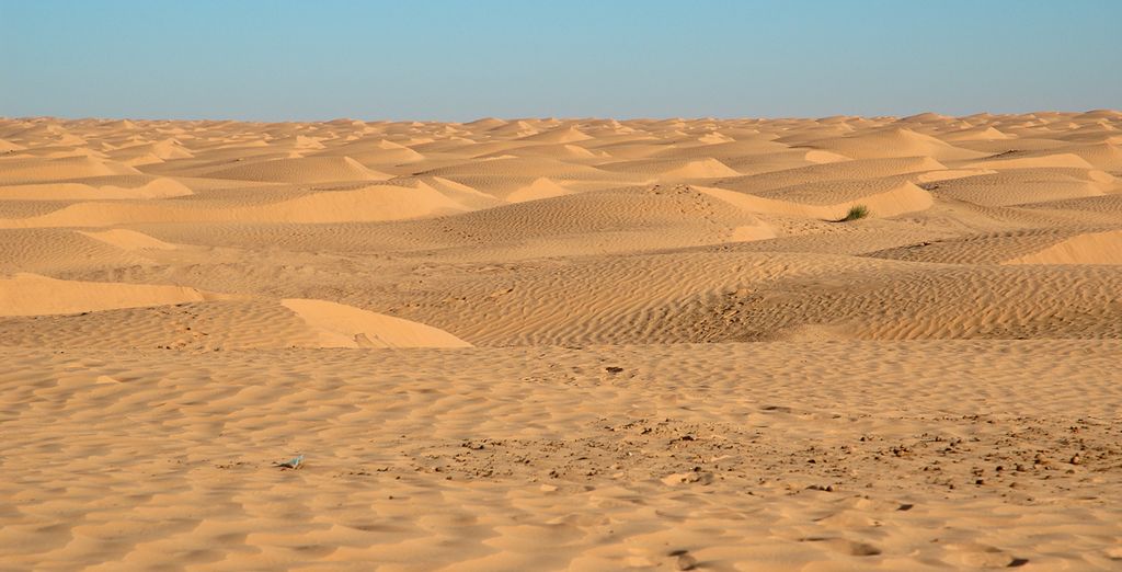 Túnez oasis y dunas