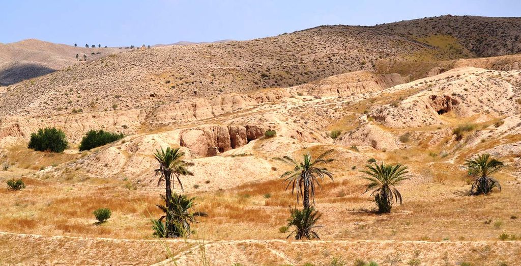 Túnez oasis y dunas