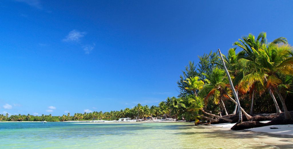 Hotel Occidental Grand Punta Cana 5*