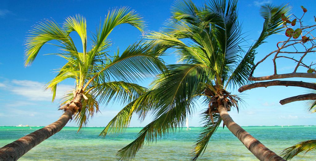 Hotel Occidental Grand Punta Cana 5*