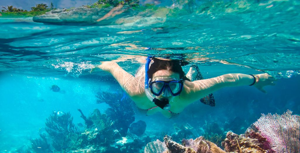 Hard Rock Hotel Riviera Maya - Heaven Section All Inclusive 5*