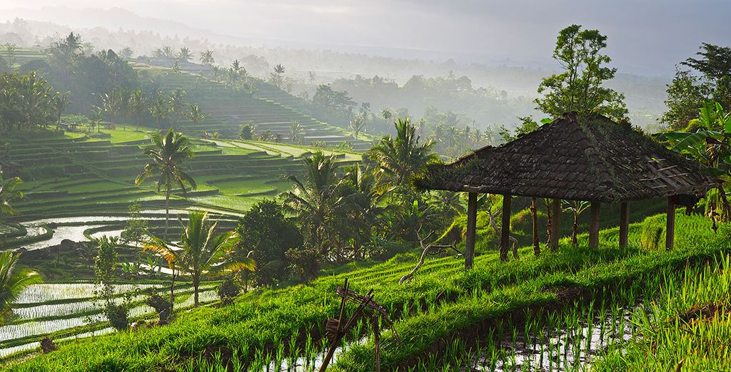 Jannata Resort 4* y Keraton Jimbaran Beach Resort 4* 