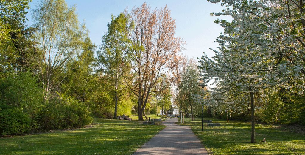 Descubre el Norte de Alemania y Copenhague