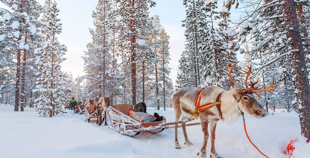 Aventura en el Ártico