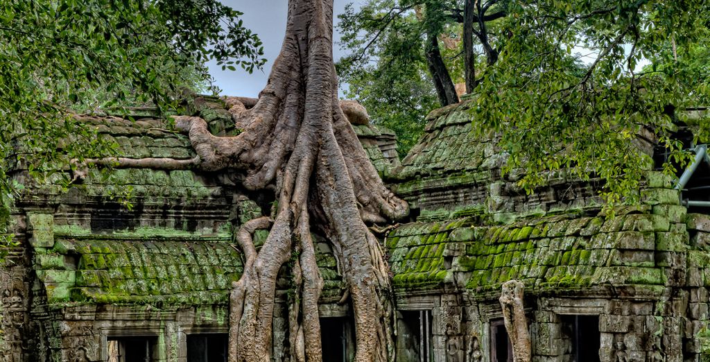 Vietnam en libertad con posible extensión a Camboya