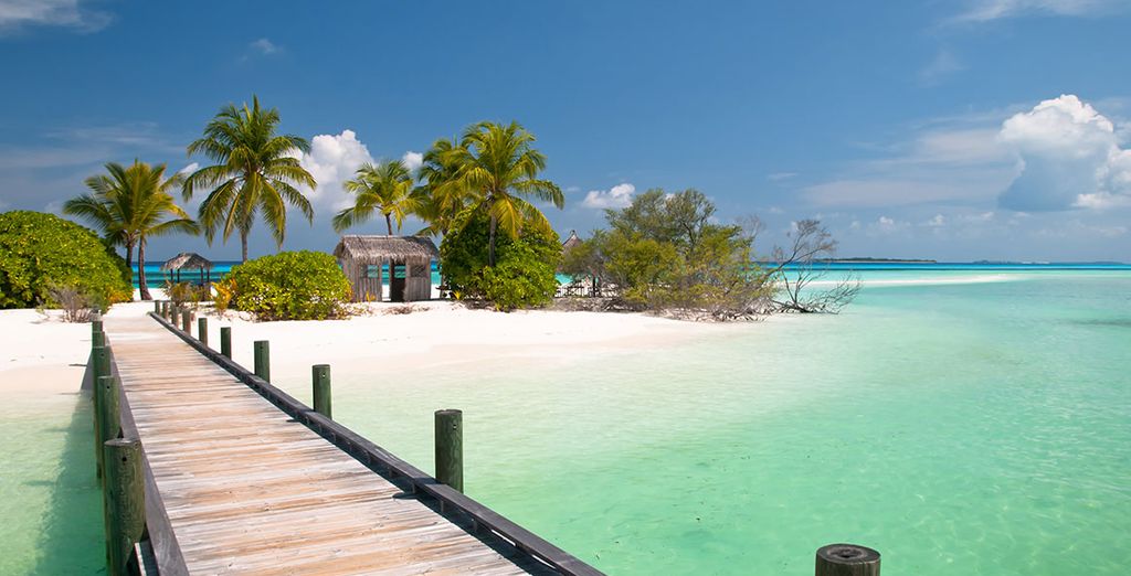 EAST Miami 5* y crucero en las Bahamas