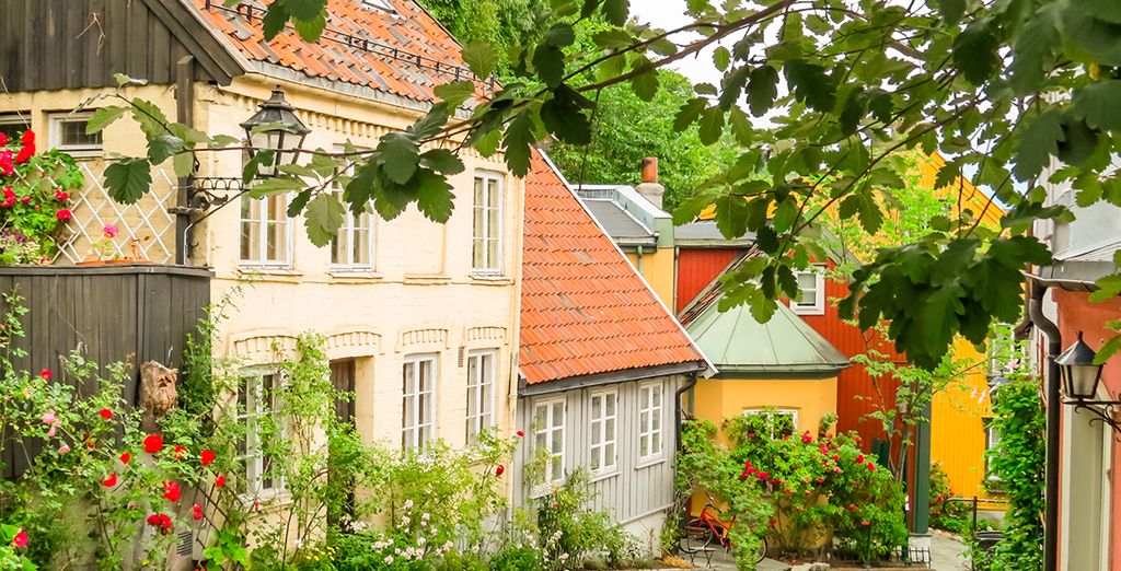 Recorrido cultural por Copenhague y Oslo con ferry nocturno