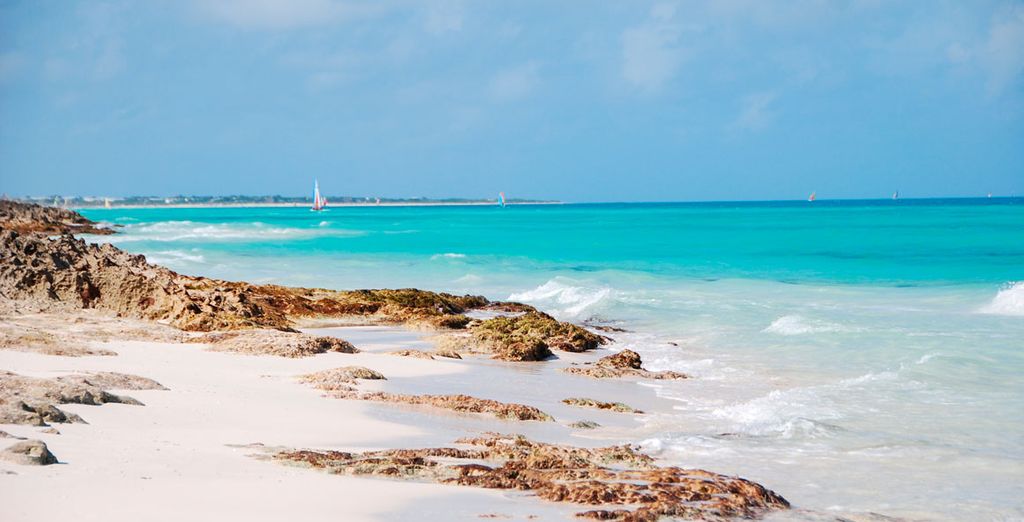 Combinado Casa Particular y Starfish Cayo Santa Maria 4*