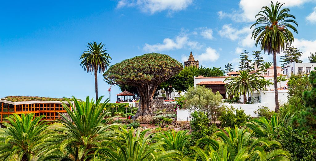 Vacaciones vuelo + hotel Tenerife Canarias