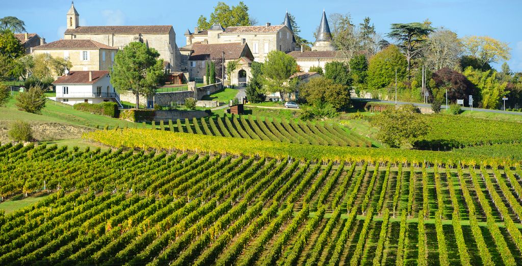 Hotel Hilton Garden Inn Bordeaux Centre 4*