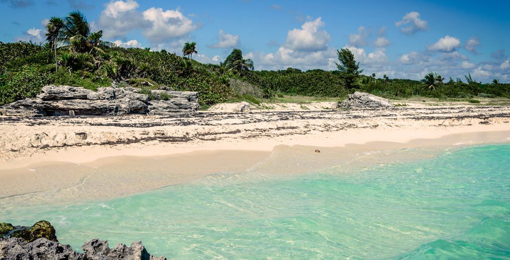 The Bentley Hotel 4* y Barceló Maya Caribe 5*