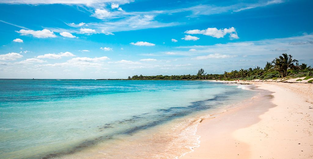 The Bentley Hotel 4* y Barceló Maya Caribe 5*