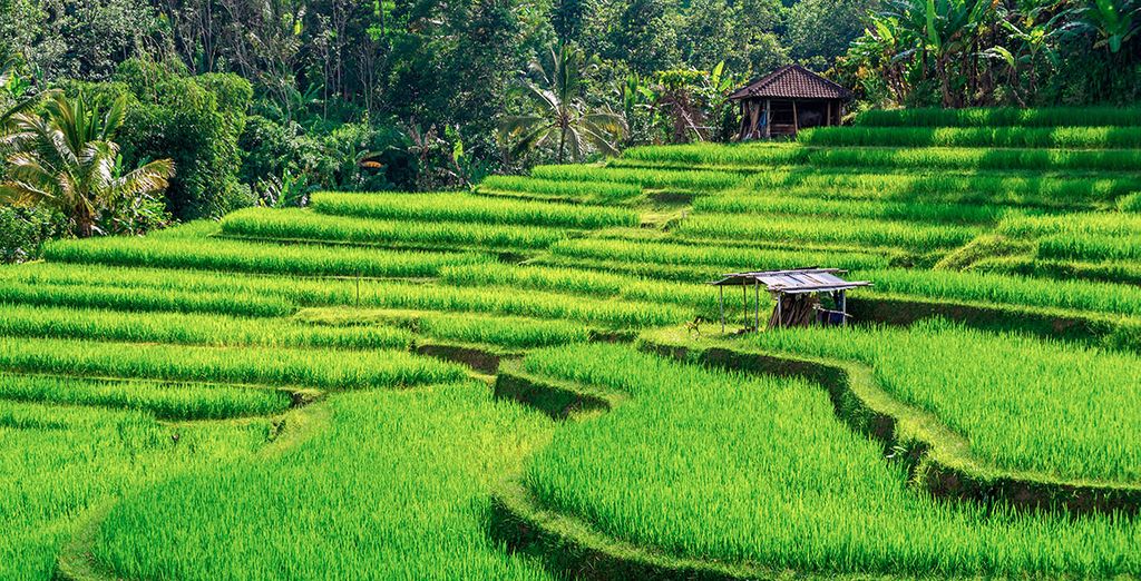  Jambuluwuk Oceano Seminyak 5* con posible preextensión en Singapur