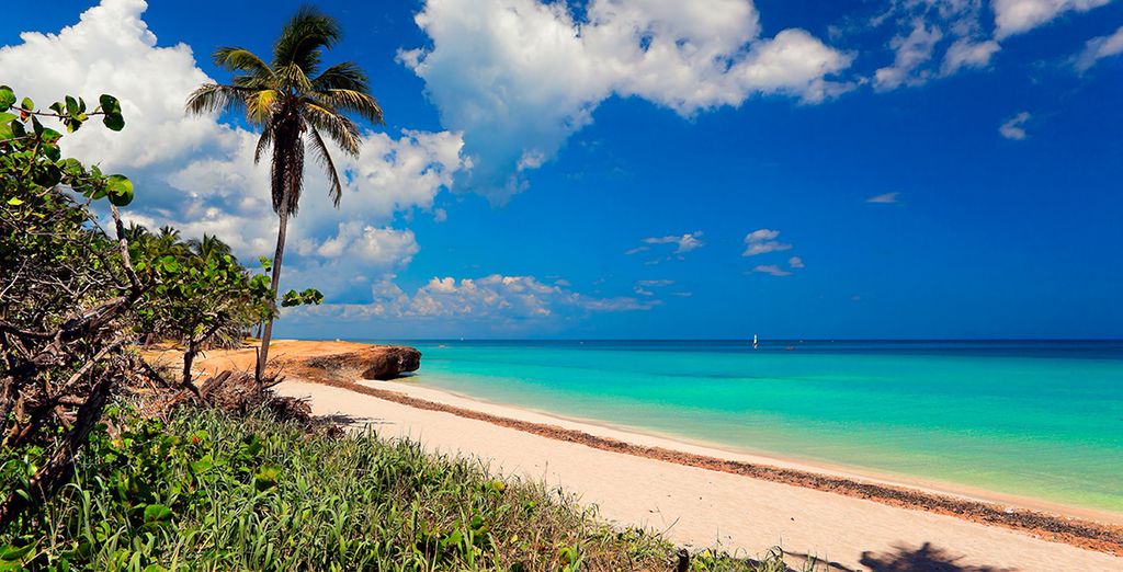 Combinado Meliá Habana 5* y Paradisus Varadero 5*